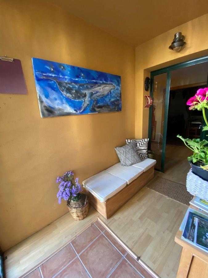 Casa Loureal Ribeira Sacra Ουρένσε Εξωτερικό φωτογραφία
